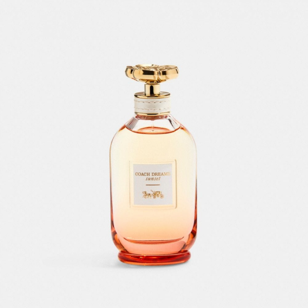 عطر كوتش كوتش دريمز للنساء أو دي برفيوم 90 مل